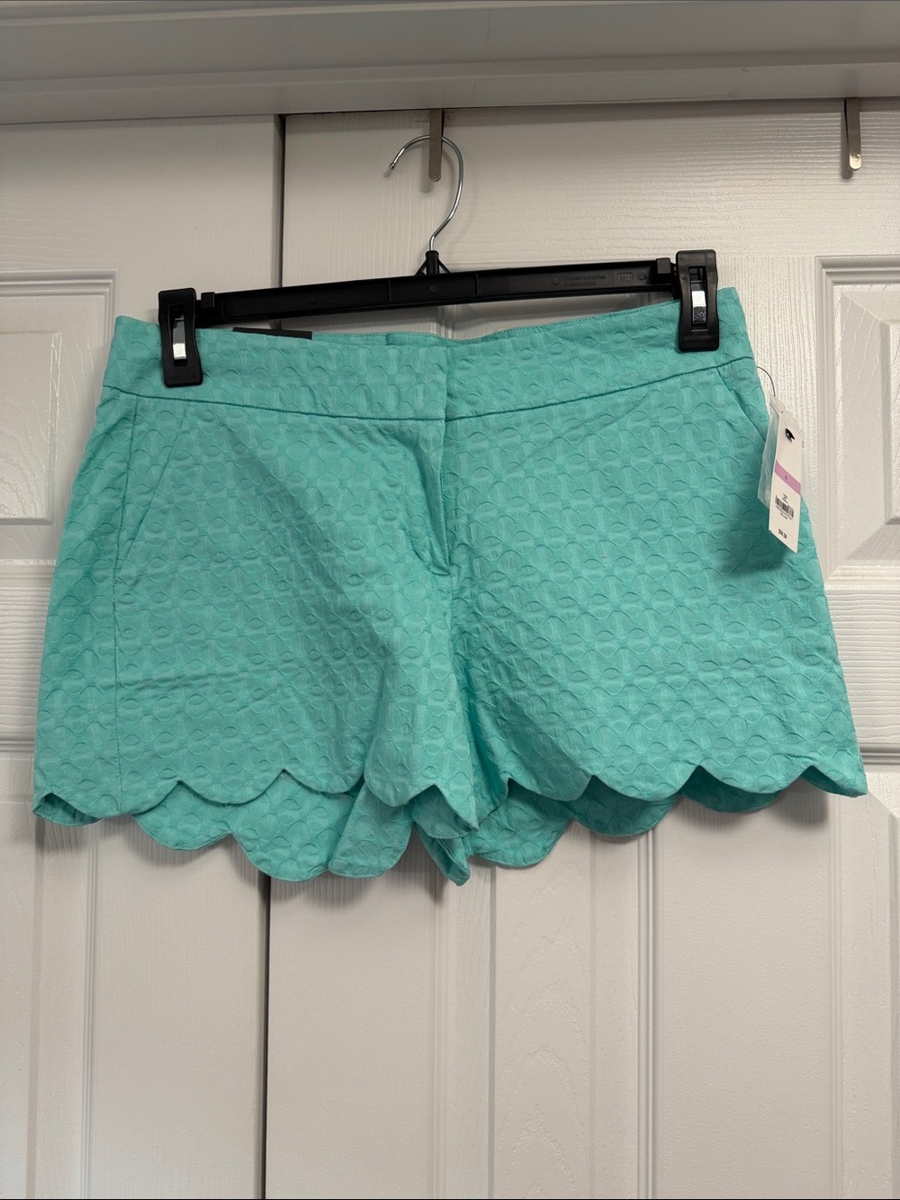 crown & ivy Mint Scalloped Hem High-Rise Shorts